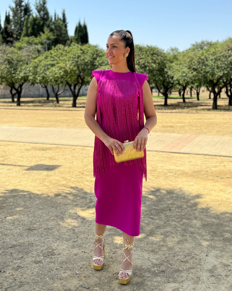 VESTIDO CLOTHIS FLECOS